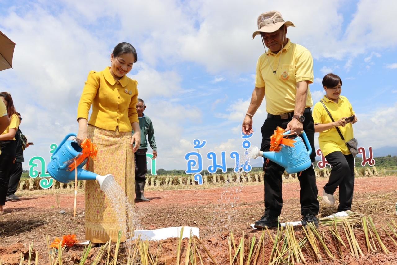 ภาพประกอบที่ 12