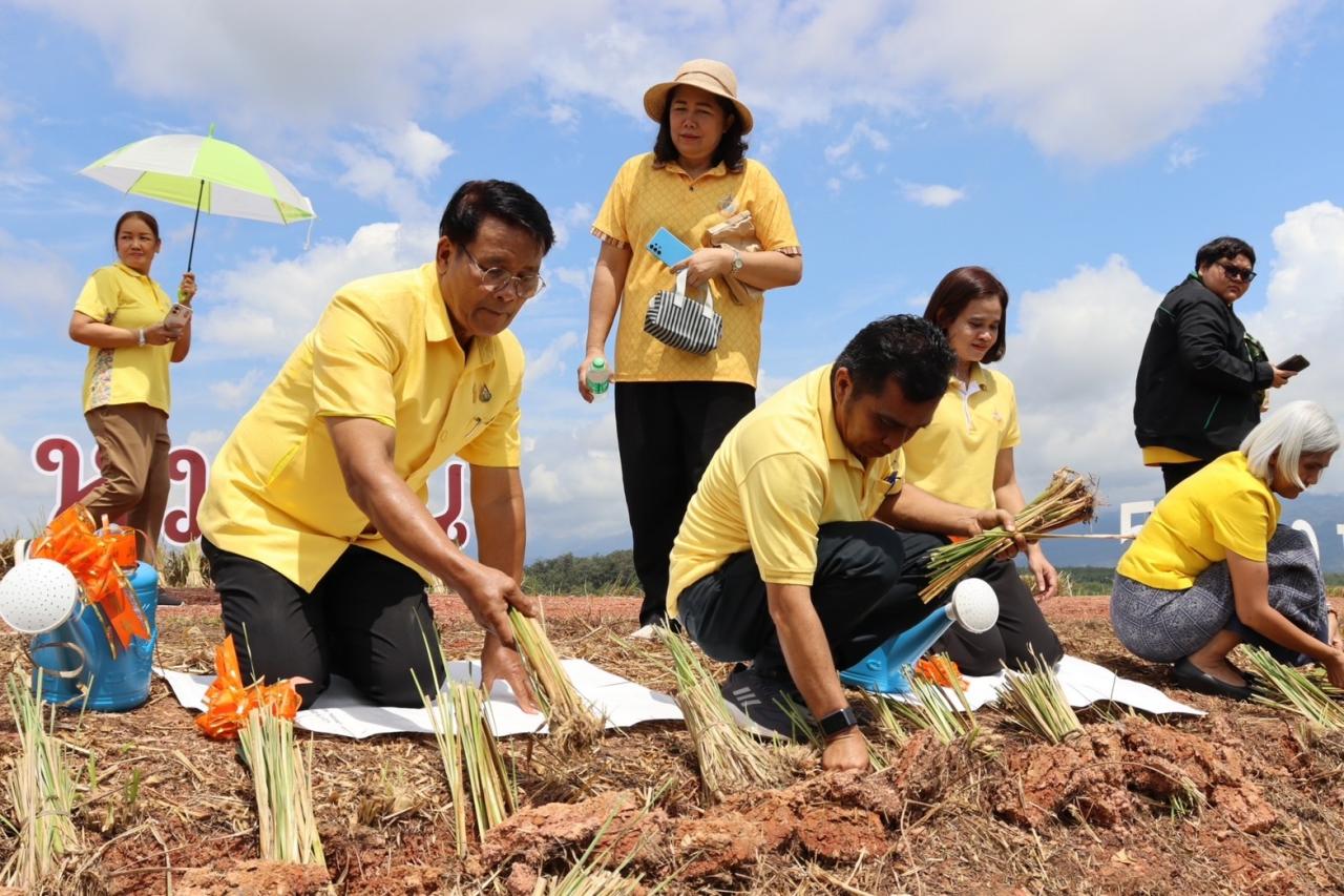 ภาพประกอบที่ 13