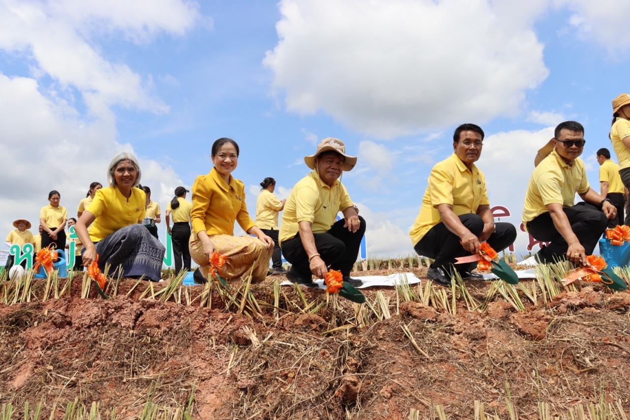 ภาพประกอบที่ 14