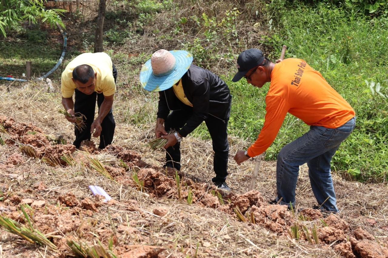 ภาพประกอบที่ 18