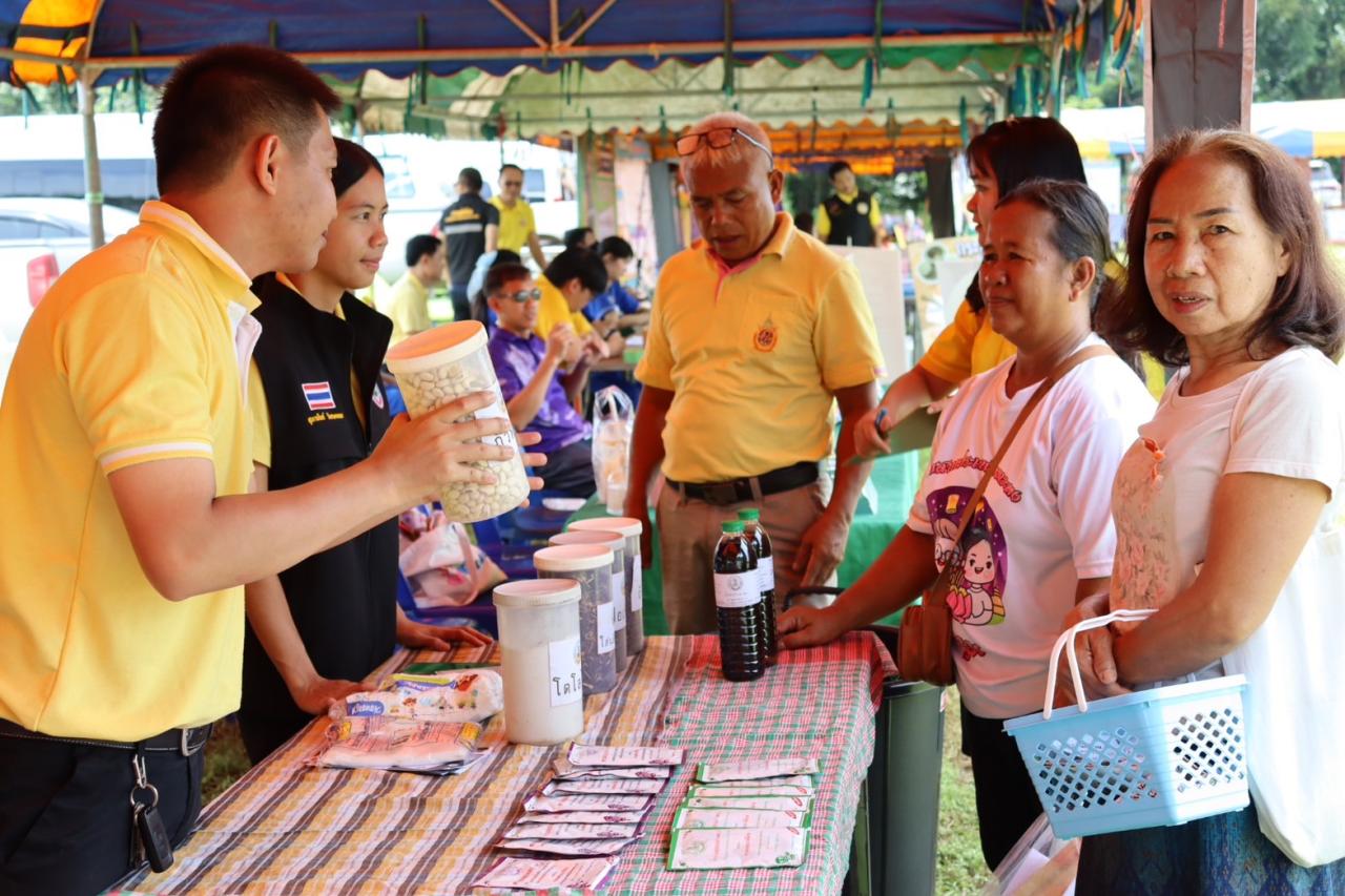 ภาพประกอบที่ 11