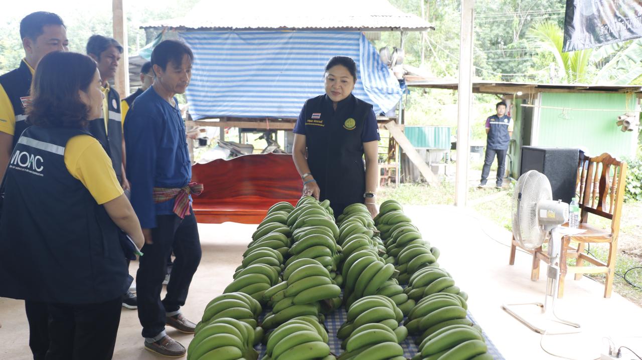 ภาพประกอบที่ 8