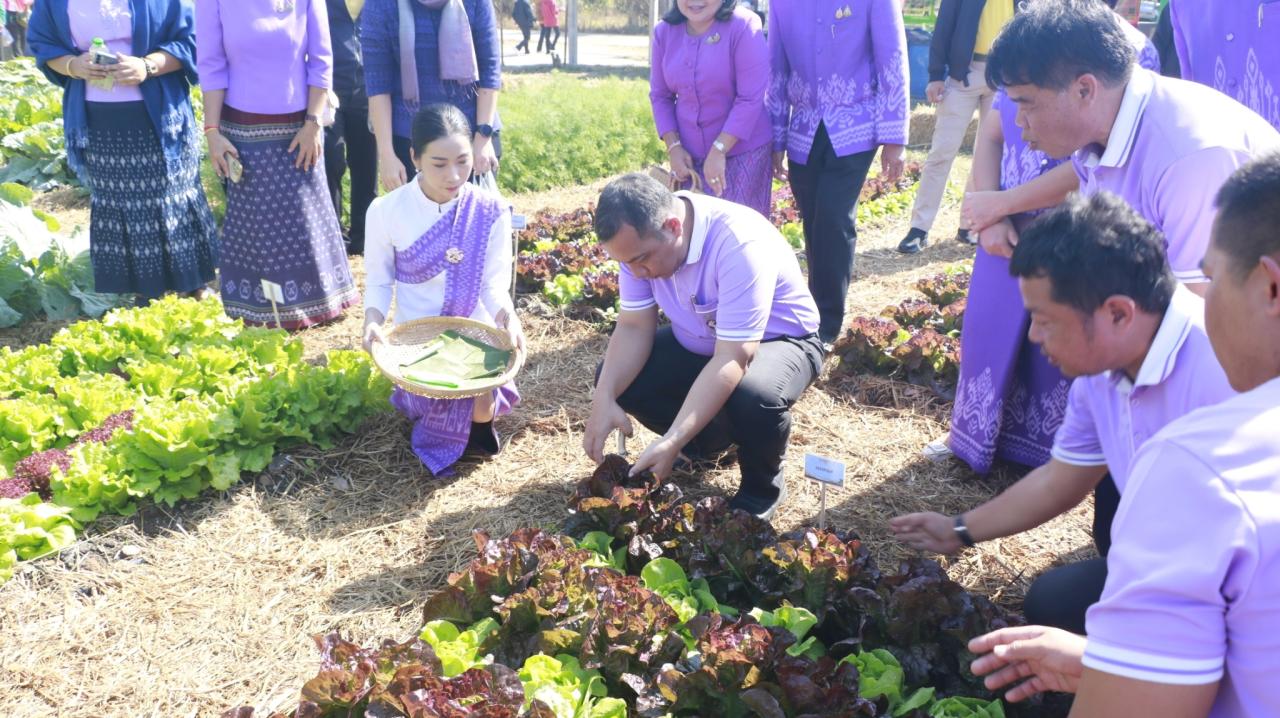 ภาพประกอบที่ 25