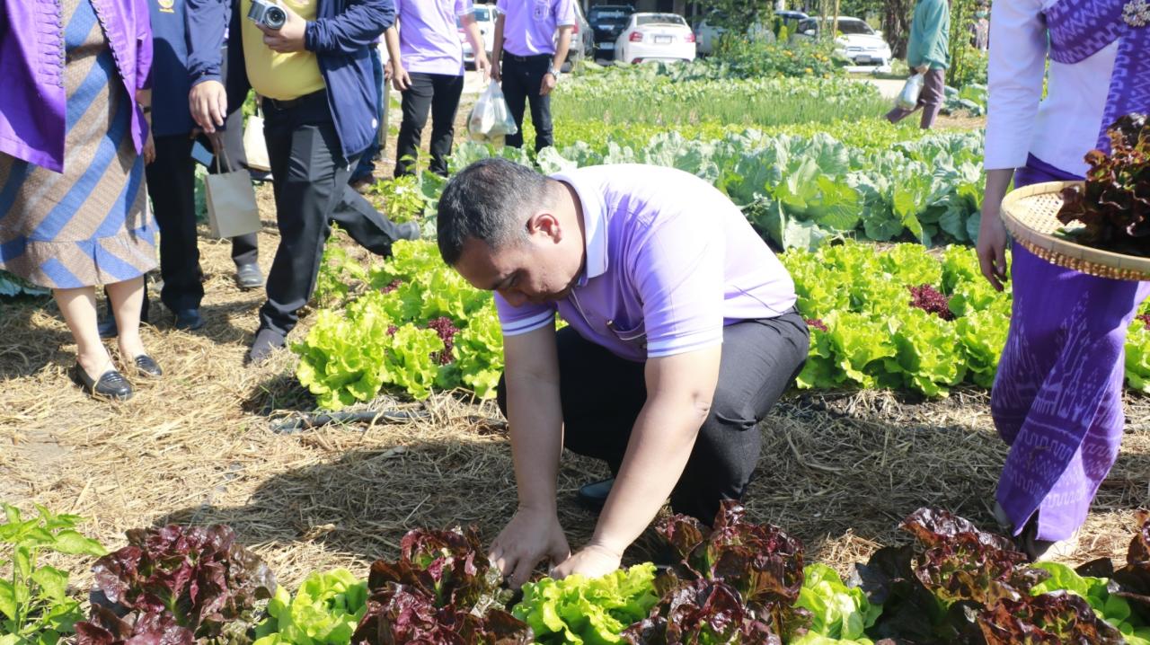 ภาพประกอบที่ 26