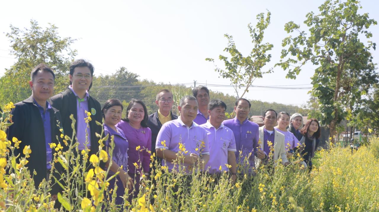 ภาพประกอบที่ 16