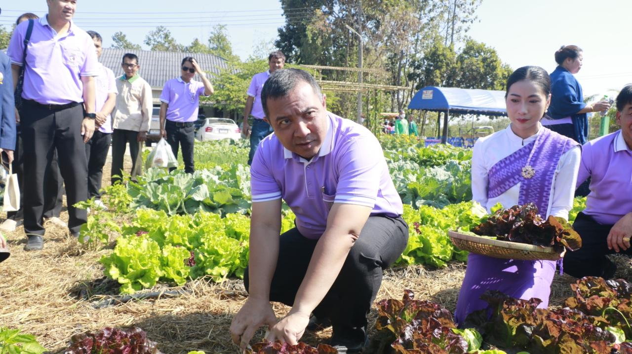 ภาพประกอบที่ 23