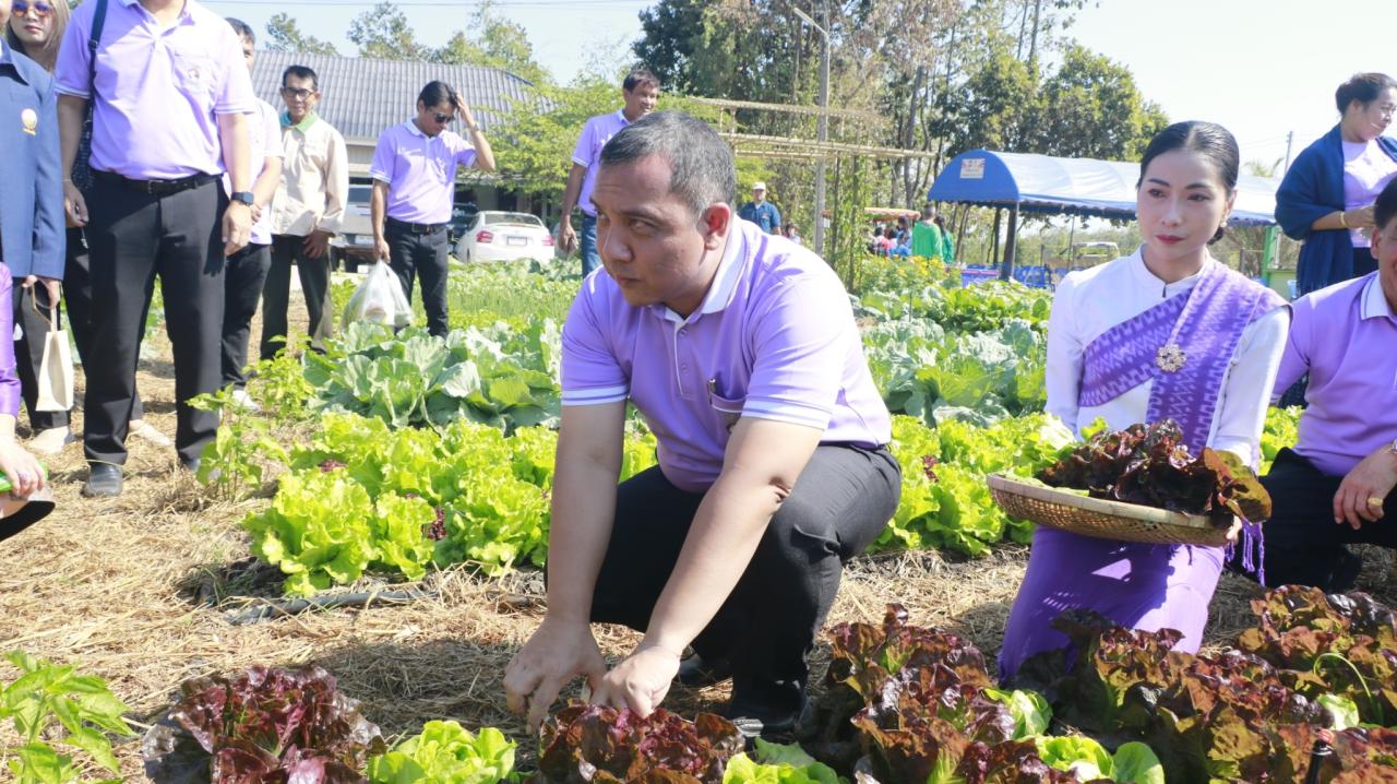 ภาพประกอบที่ 24