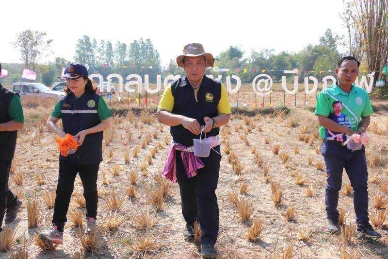 ภาพประกอบที่ 16