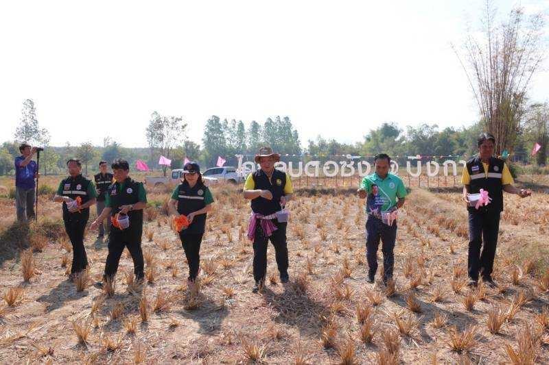 ภาพประกอบที่ 17