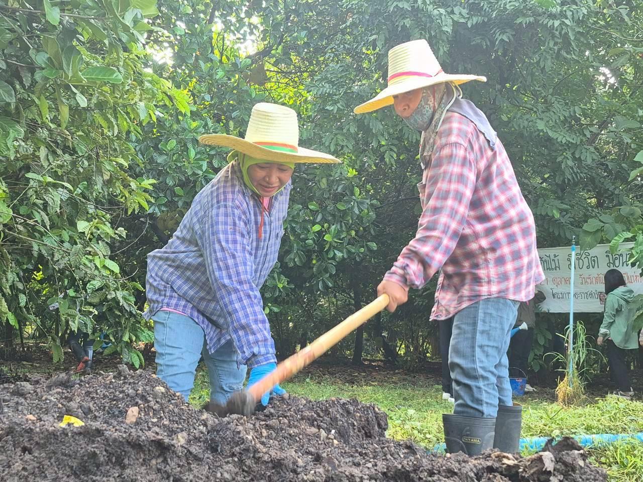 ภาพประกอบที่ 0