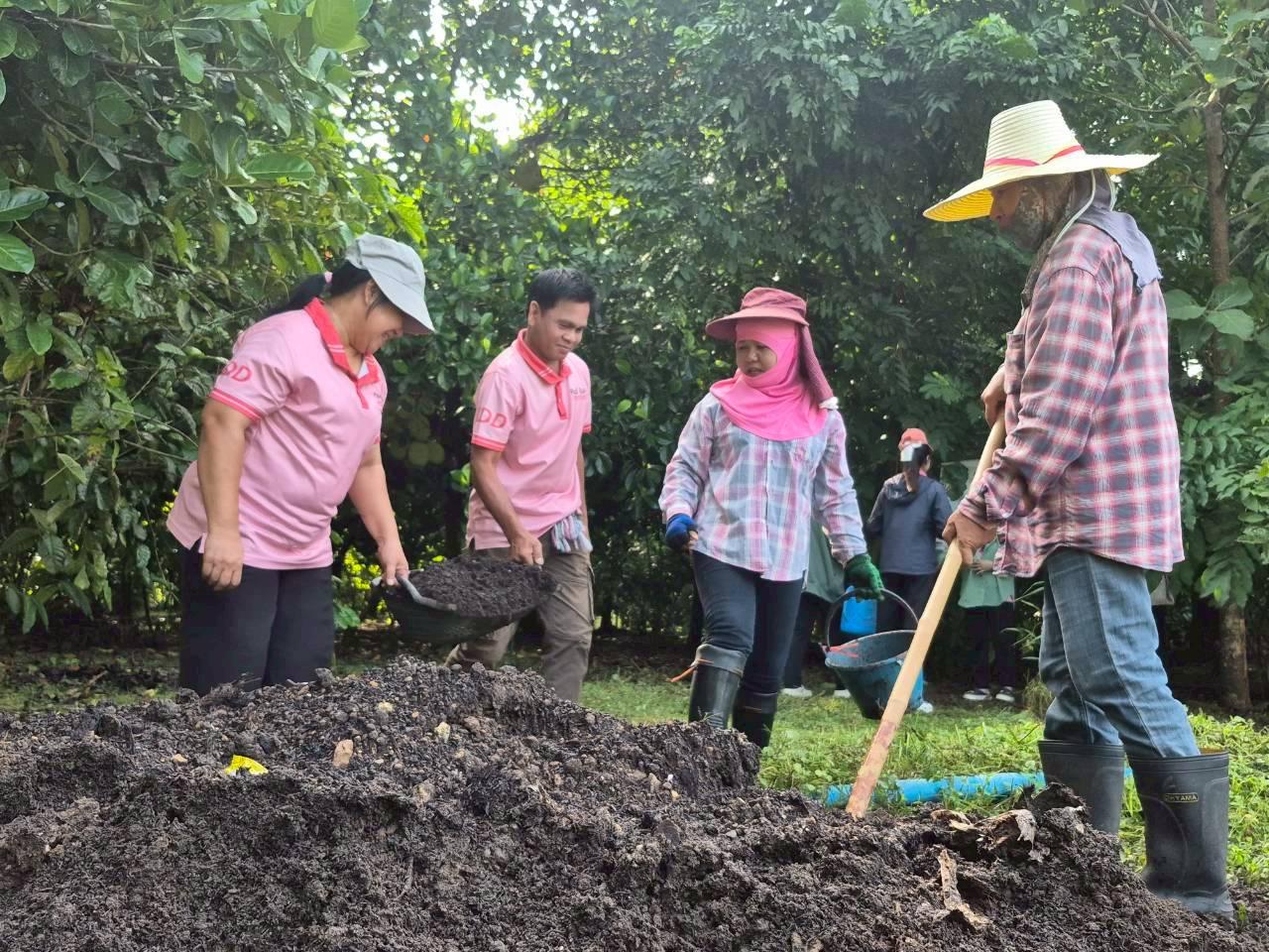 ภาพประกอบที่ 1