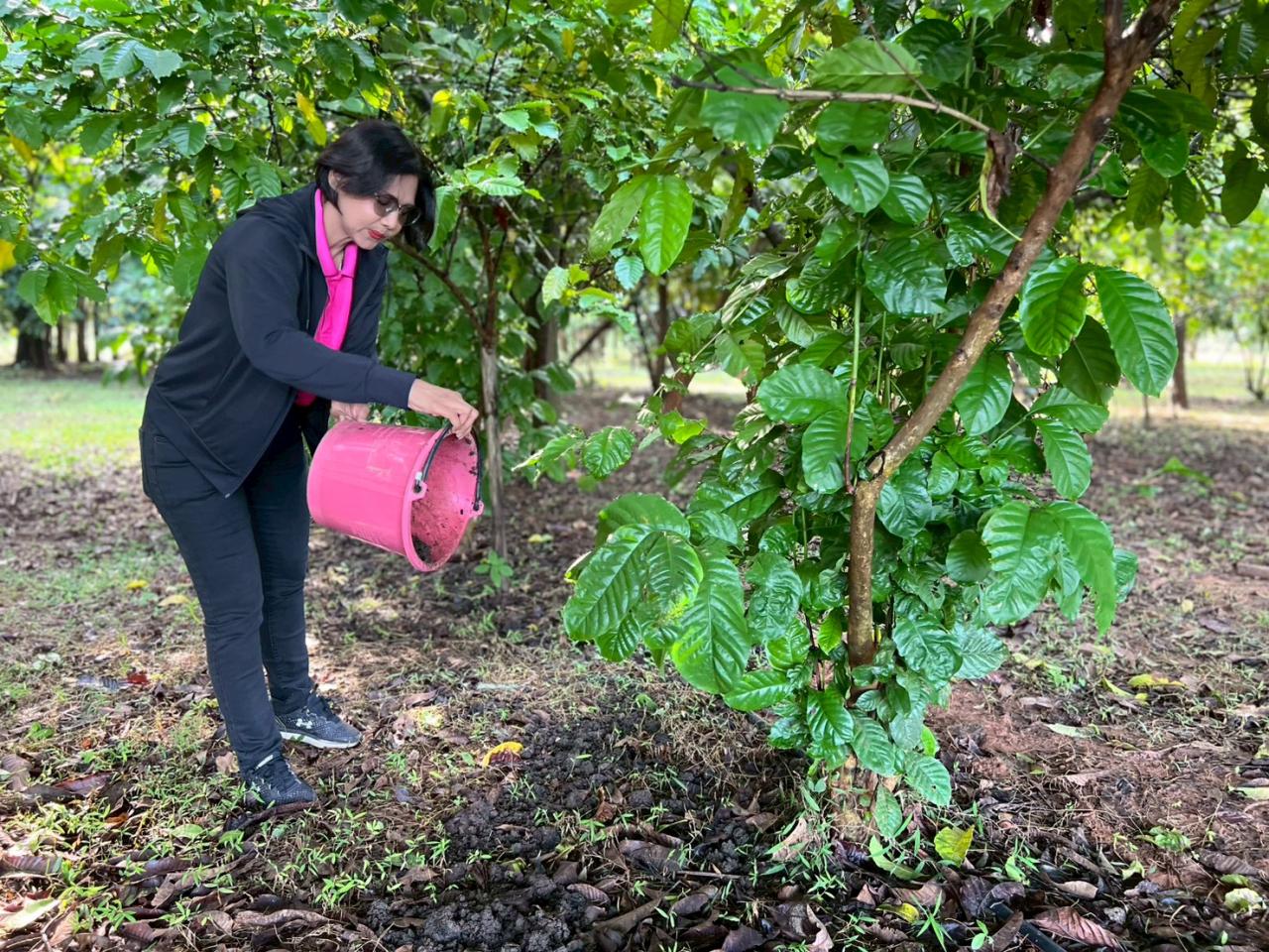 ภาพประกอบที่ 4