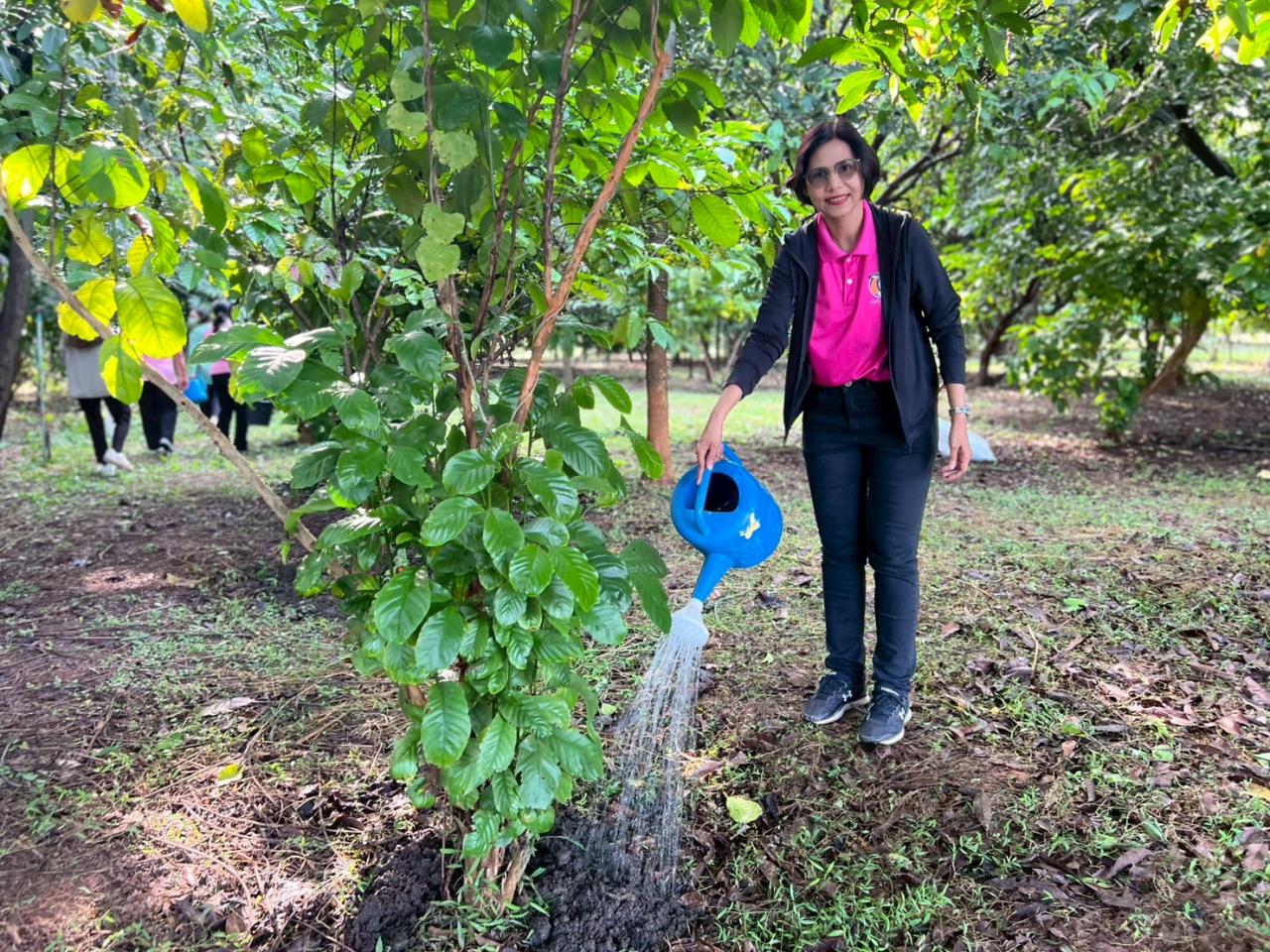 ภาพประกอบที่ 5