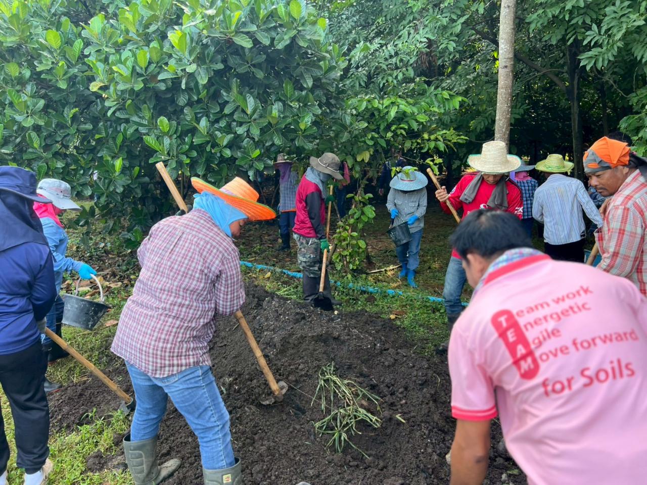 ภาพประกอบที่ 6