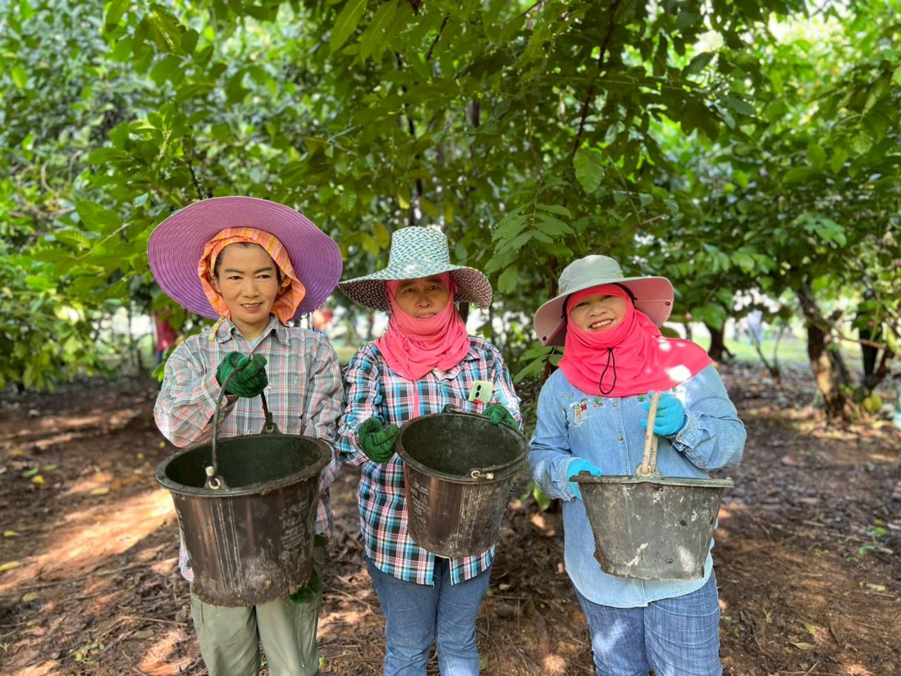 ภาพประกอบที่ 8