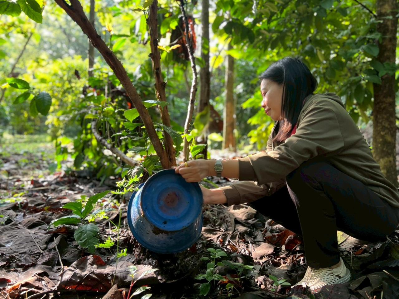 ภาพประกอบที่ 11
