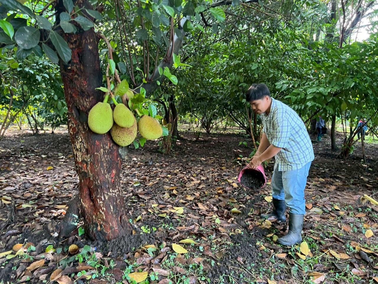 ภาพประกอบที่ 12