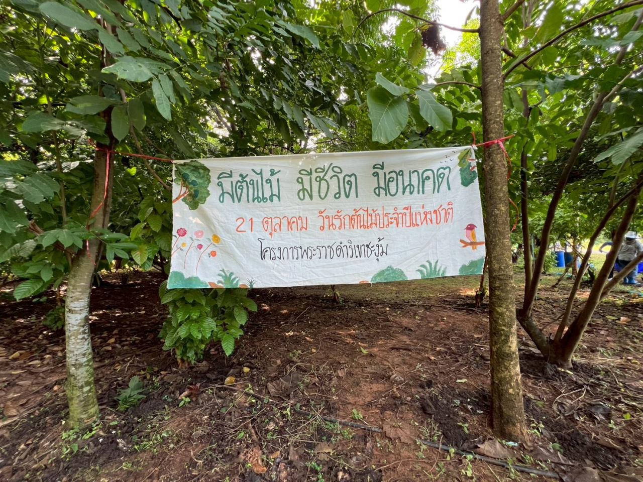 ภาพประกอบที่ 13