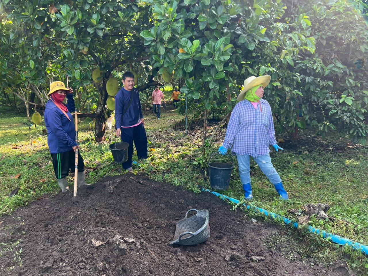 ภาพประกอบที่ 15