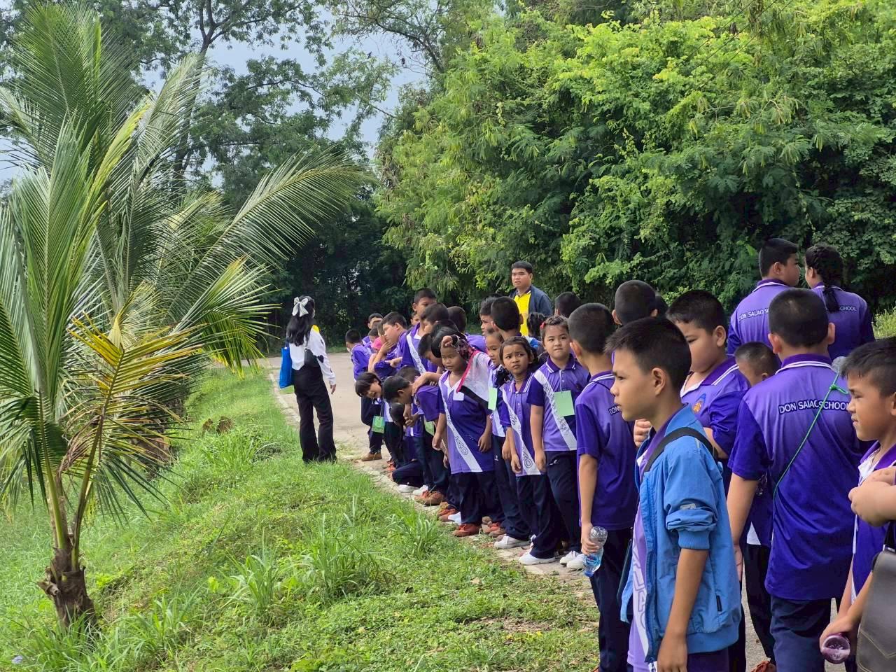 ภาพประกอบที่ 0