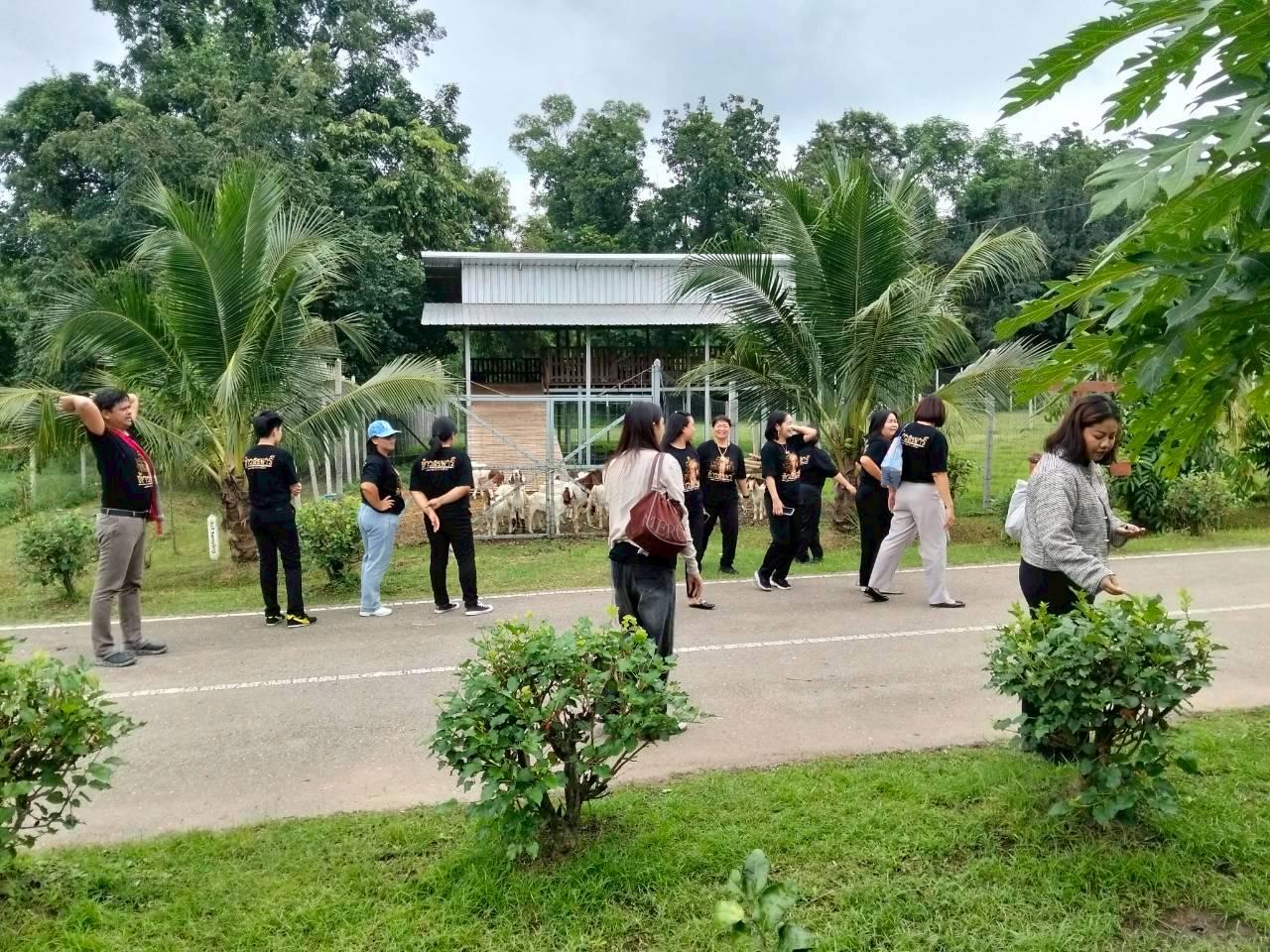 ภาพประกอบที่ 9