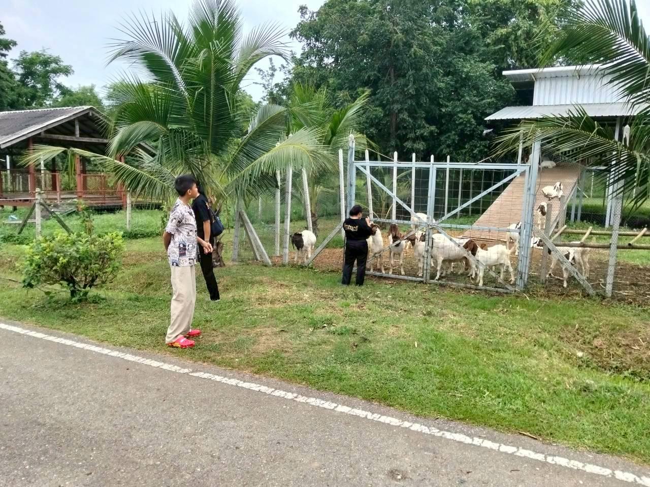 ภาพประกอบที่ 10