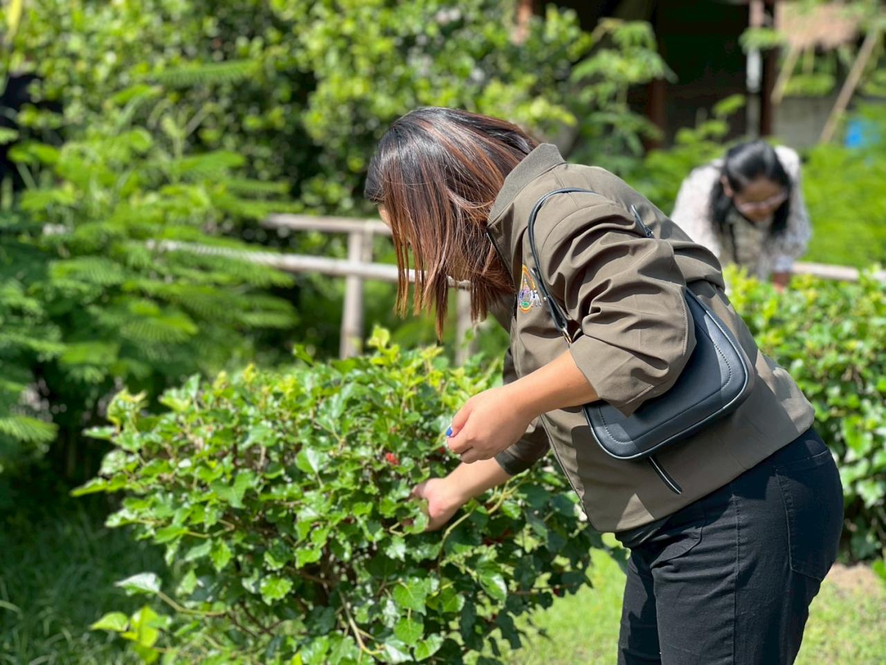 ภาพประกอบที่ 12