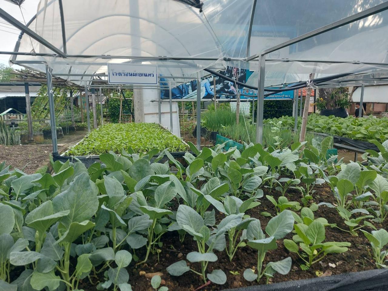 ภาพประกอบที่ 18