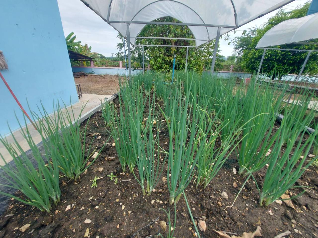 ภาพประกอบที่ 22