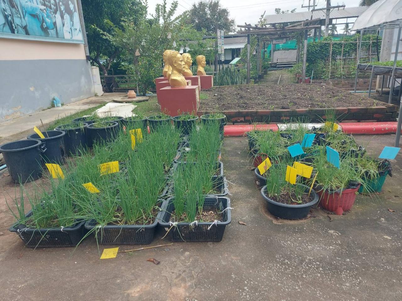 ภาพประกอบที่ 47