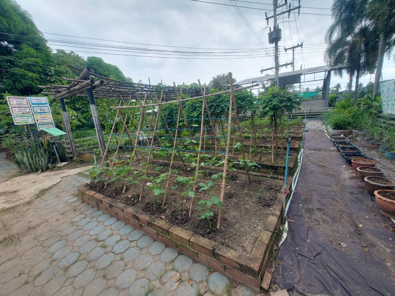 ภาพประกอบที่ 49