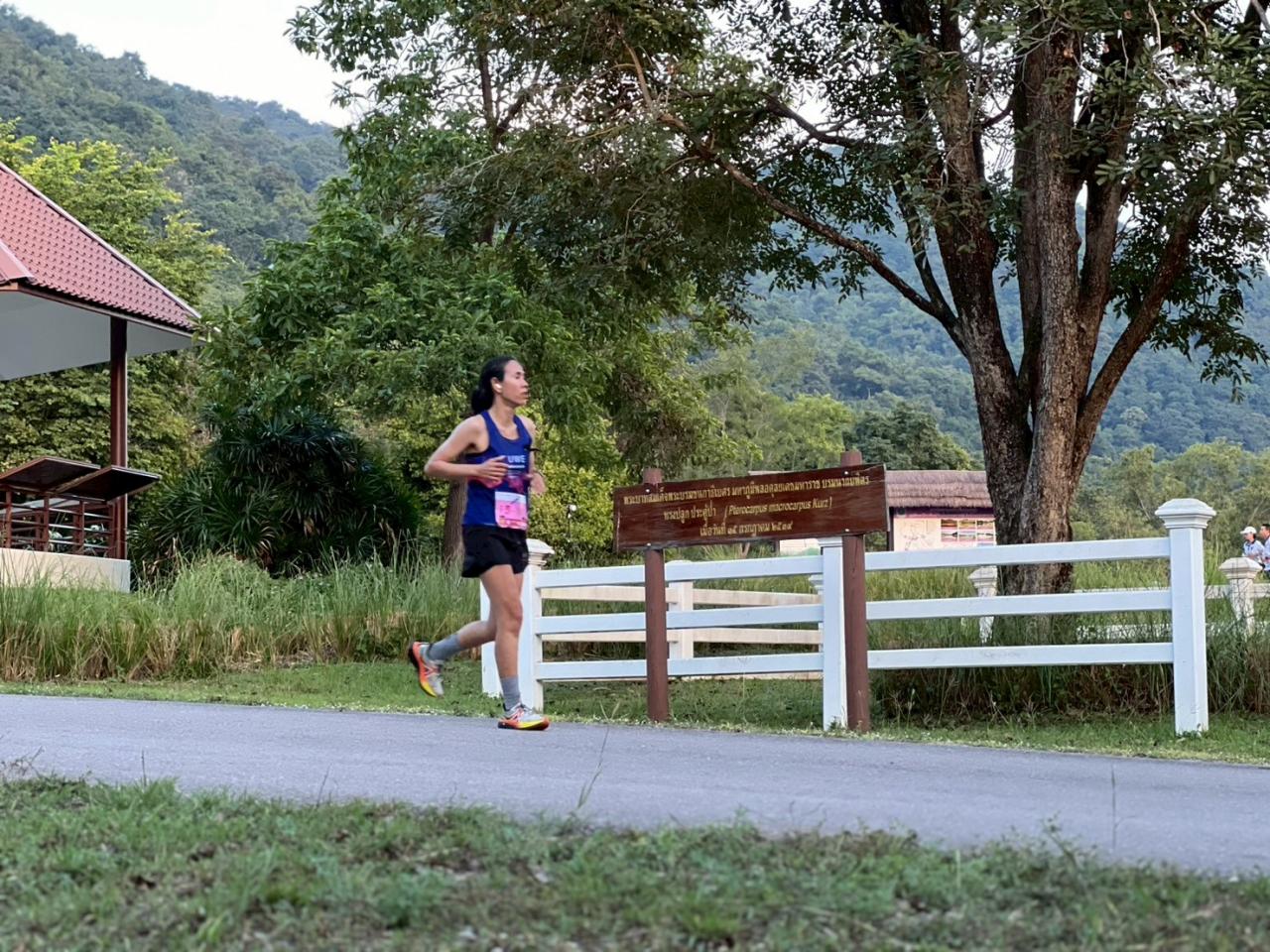 ภาพประกอบที่ 11