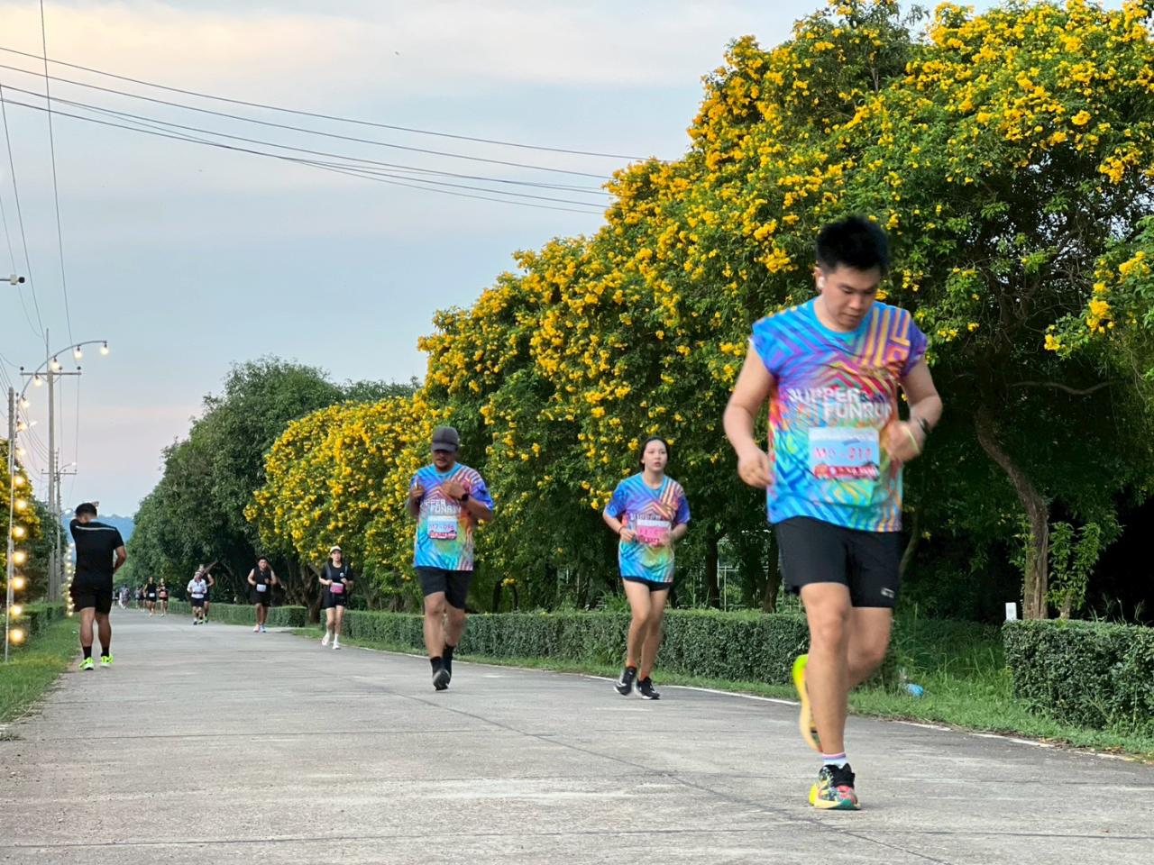 ภาพประกอบที่ 17