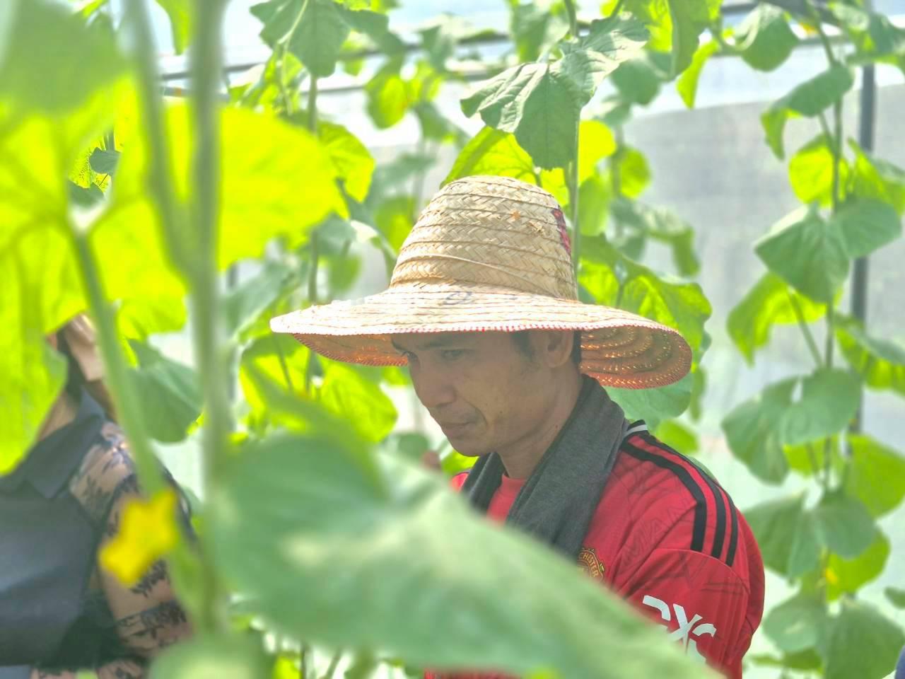 ภาพประกอบที่ 3