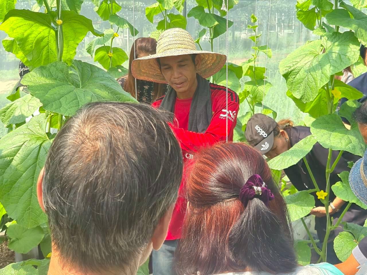 ภาพประกอบที่ 4