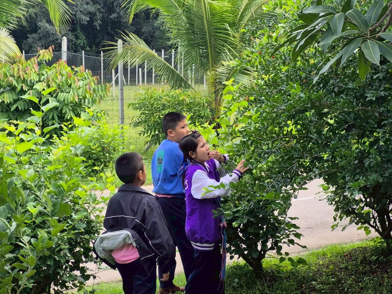 ภาพประกอบที่ 3