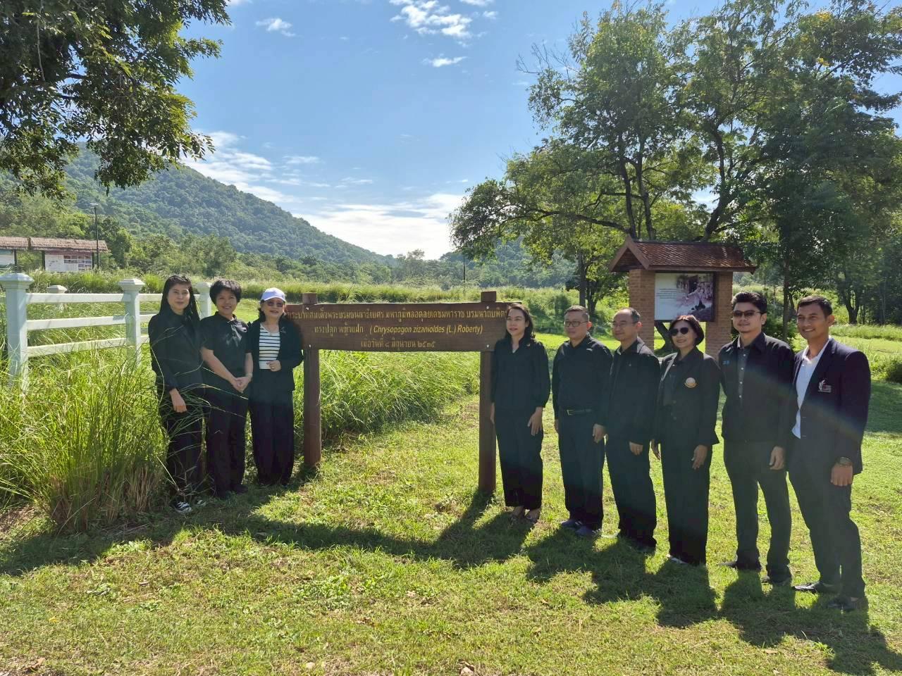 ภาพประกอบที่ 8