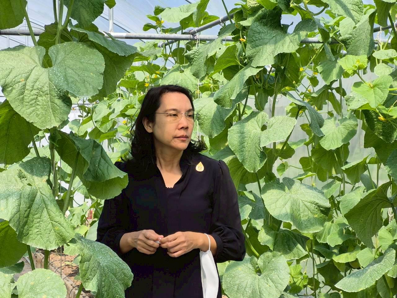 ภาพประกอบที่ 9