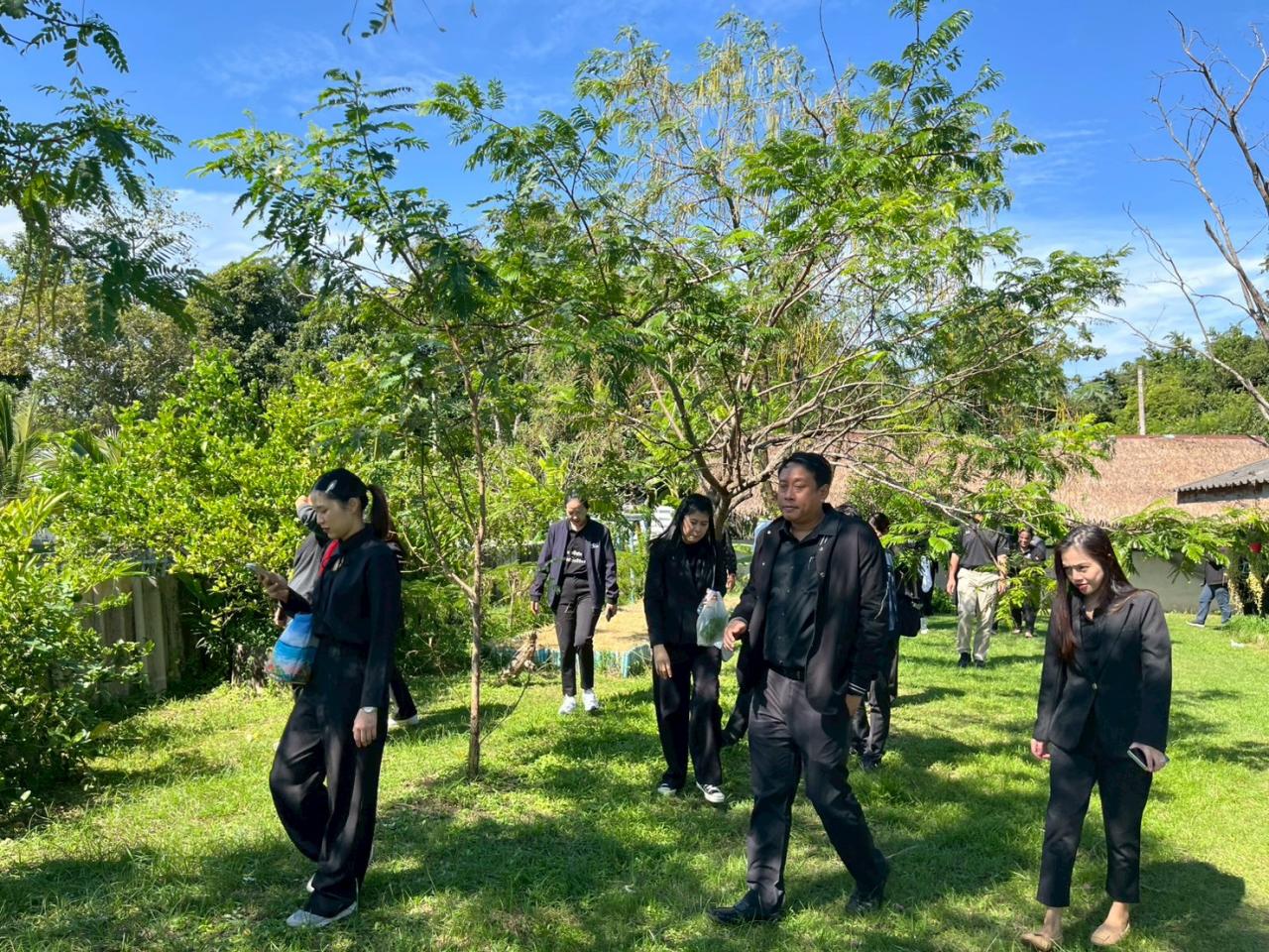 ภาพประกอบที่ 11