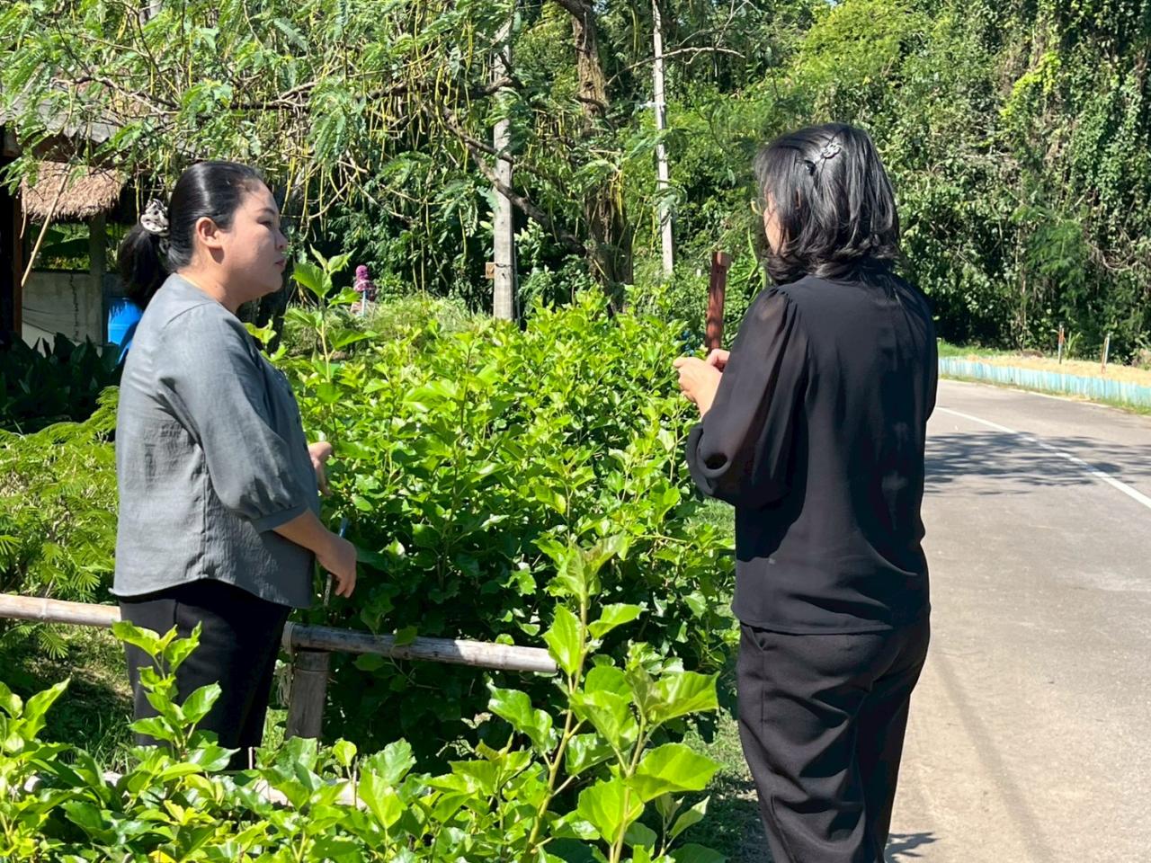 ภาพประกอบที่ 13