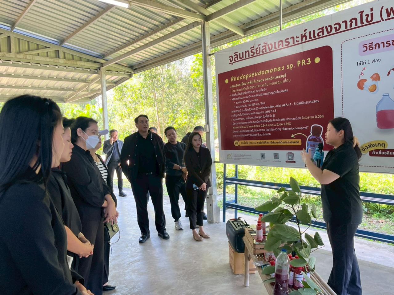 ภาพประกอบที่ 15