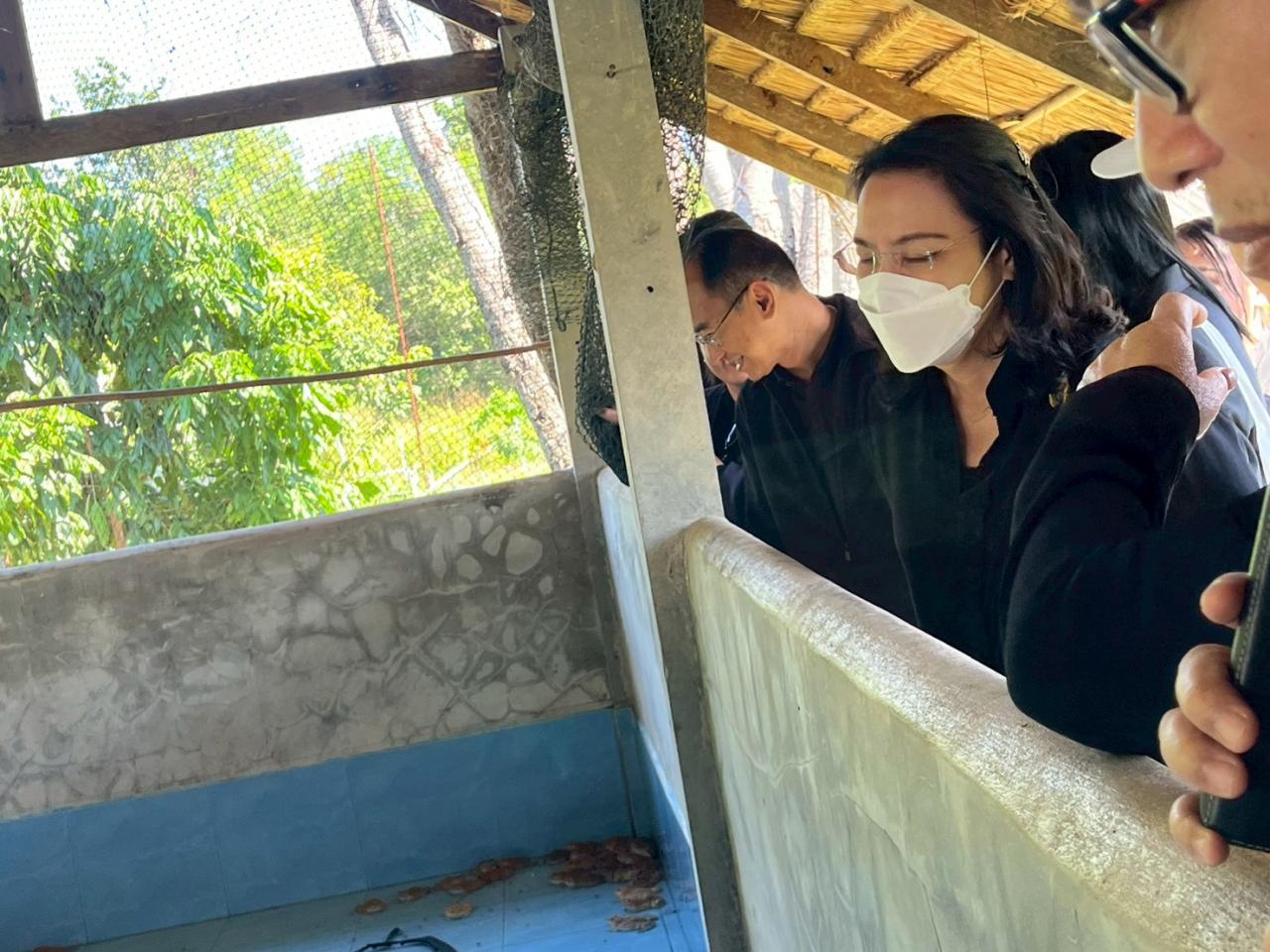 ภาพประกอบที่ 26