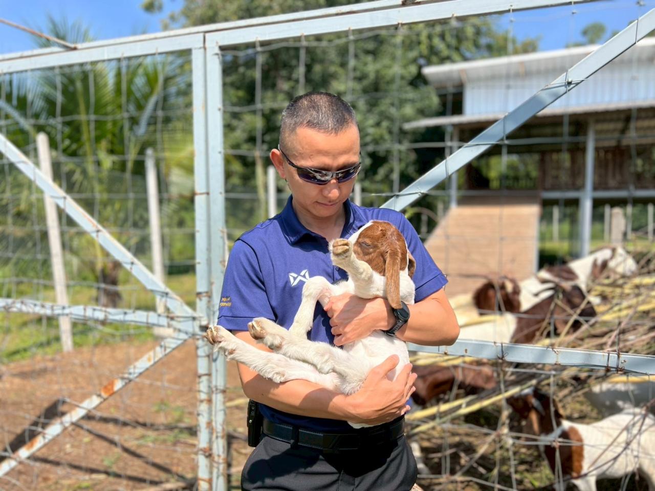 ภาพประกอบที่ 28