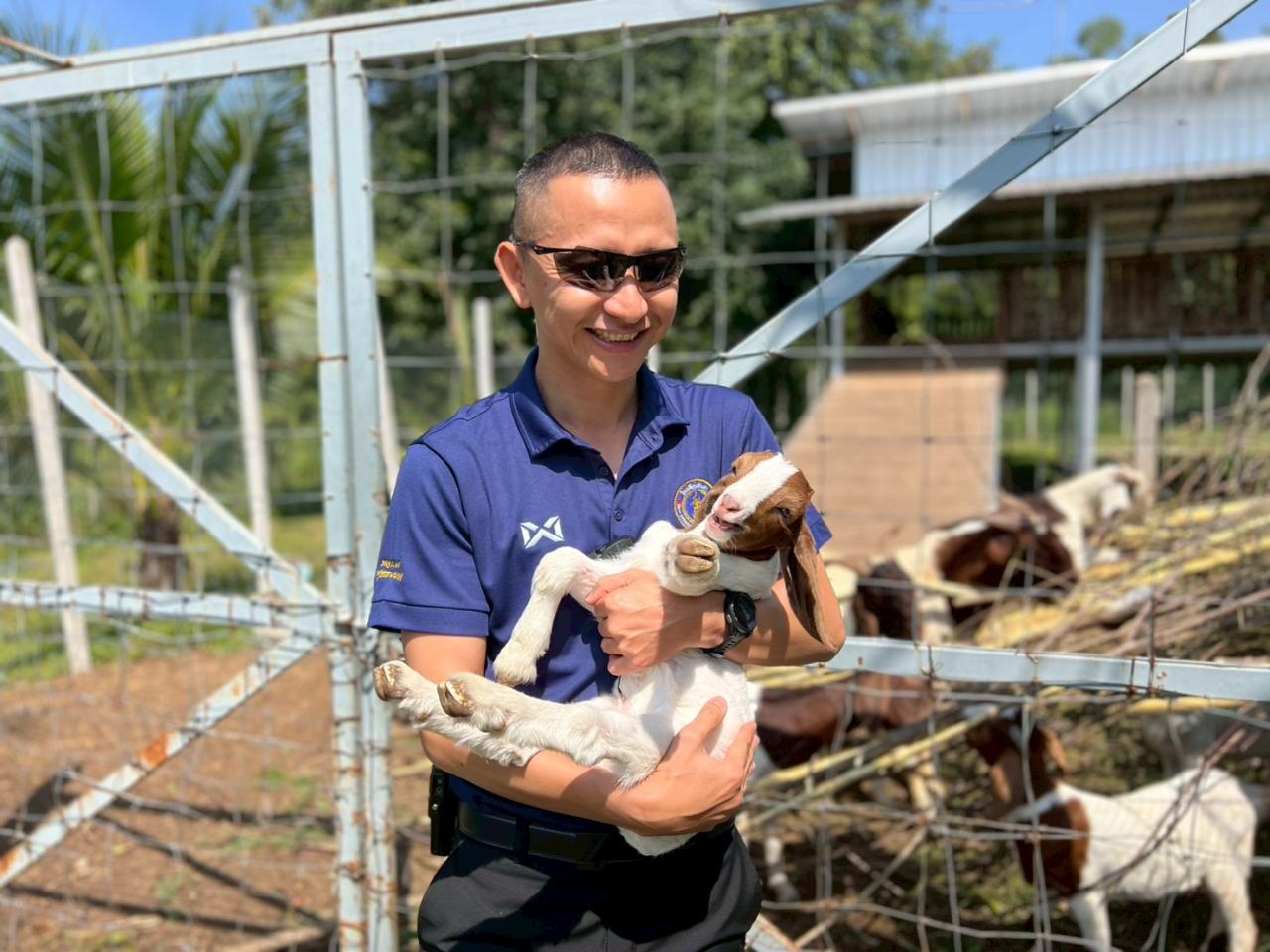 ภาพประกอบที่ 29