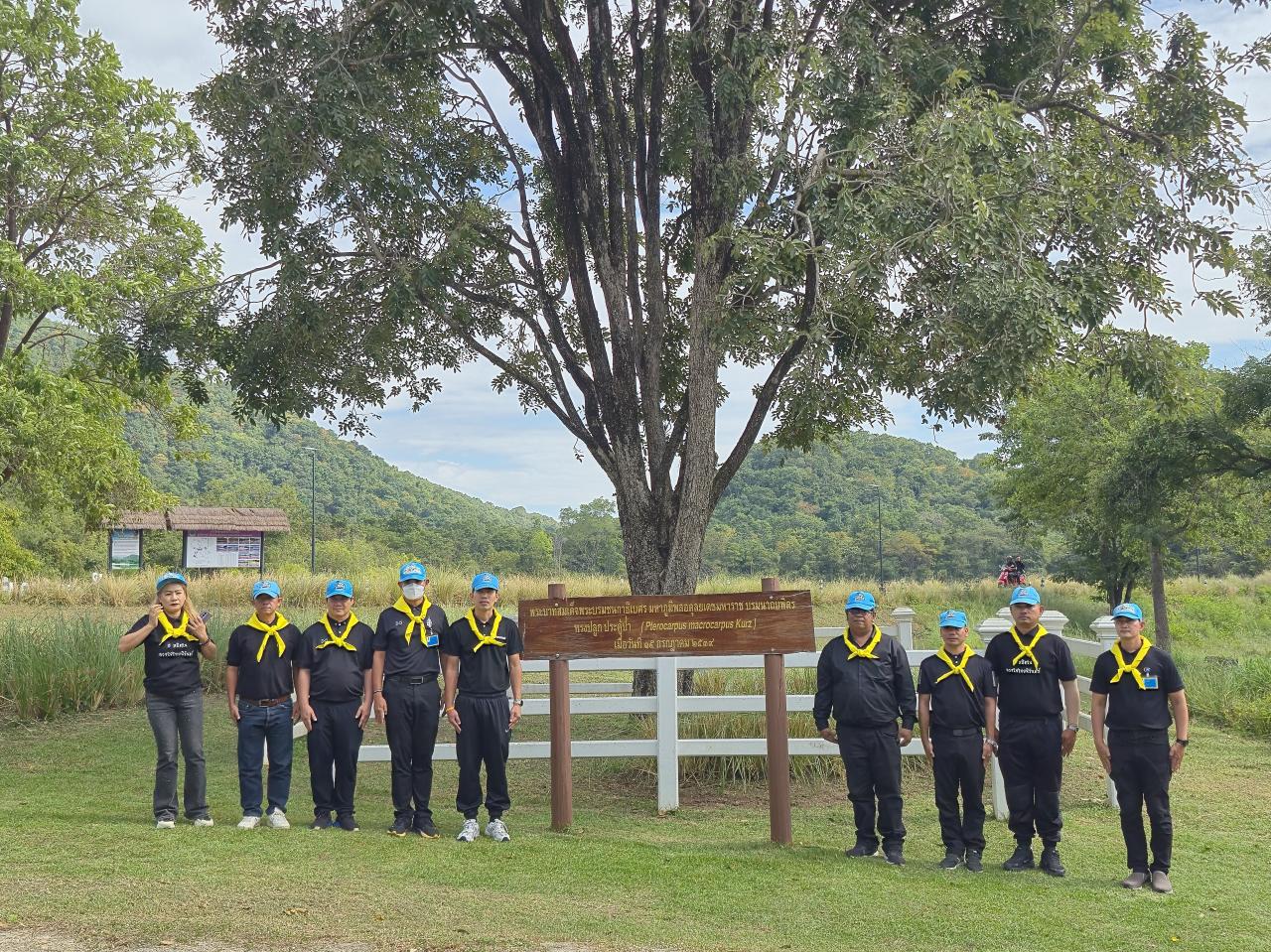 ภาพประกอบที่ 10