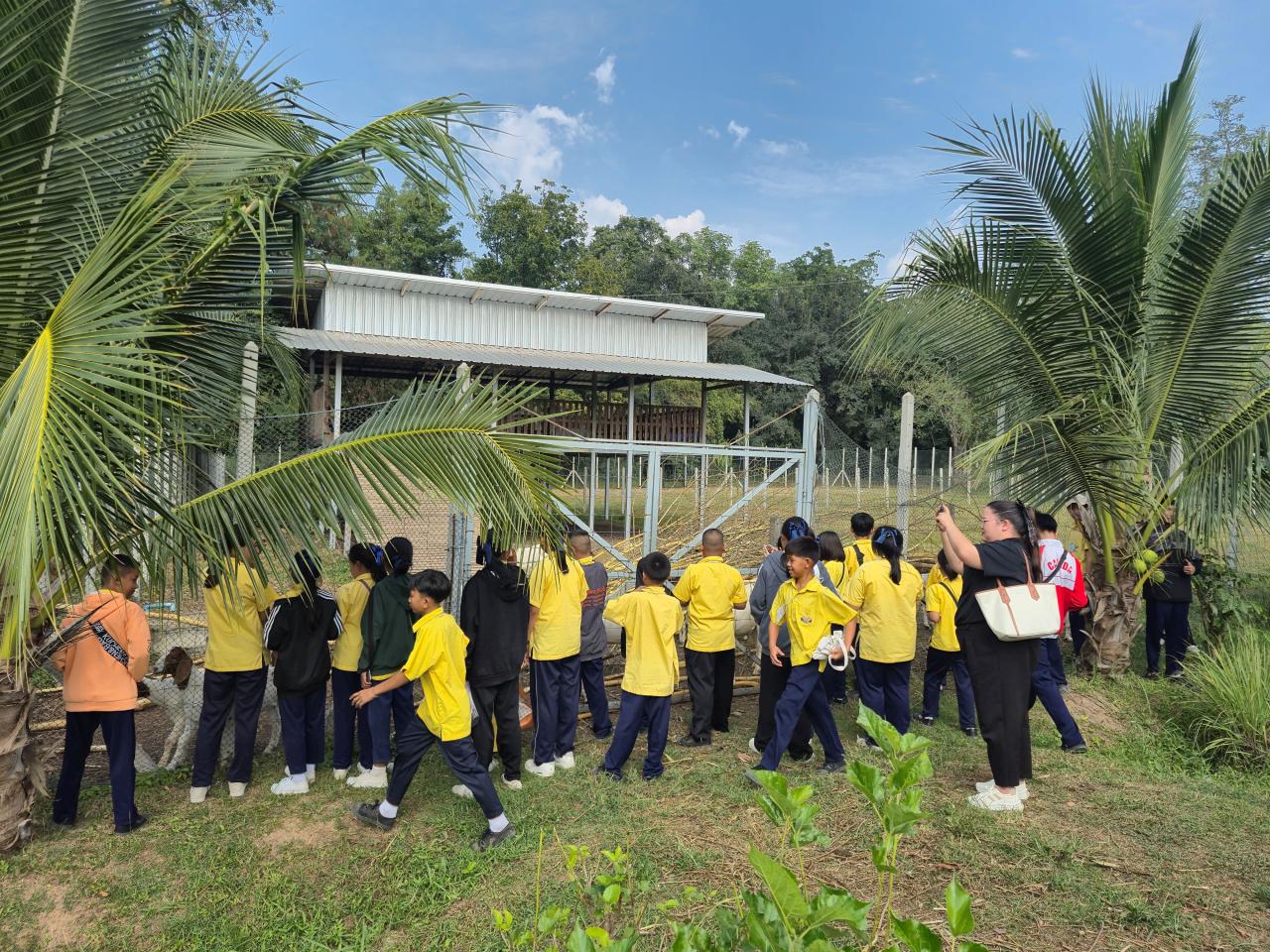 ภาพประกอบที่ 0