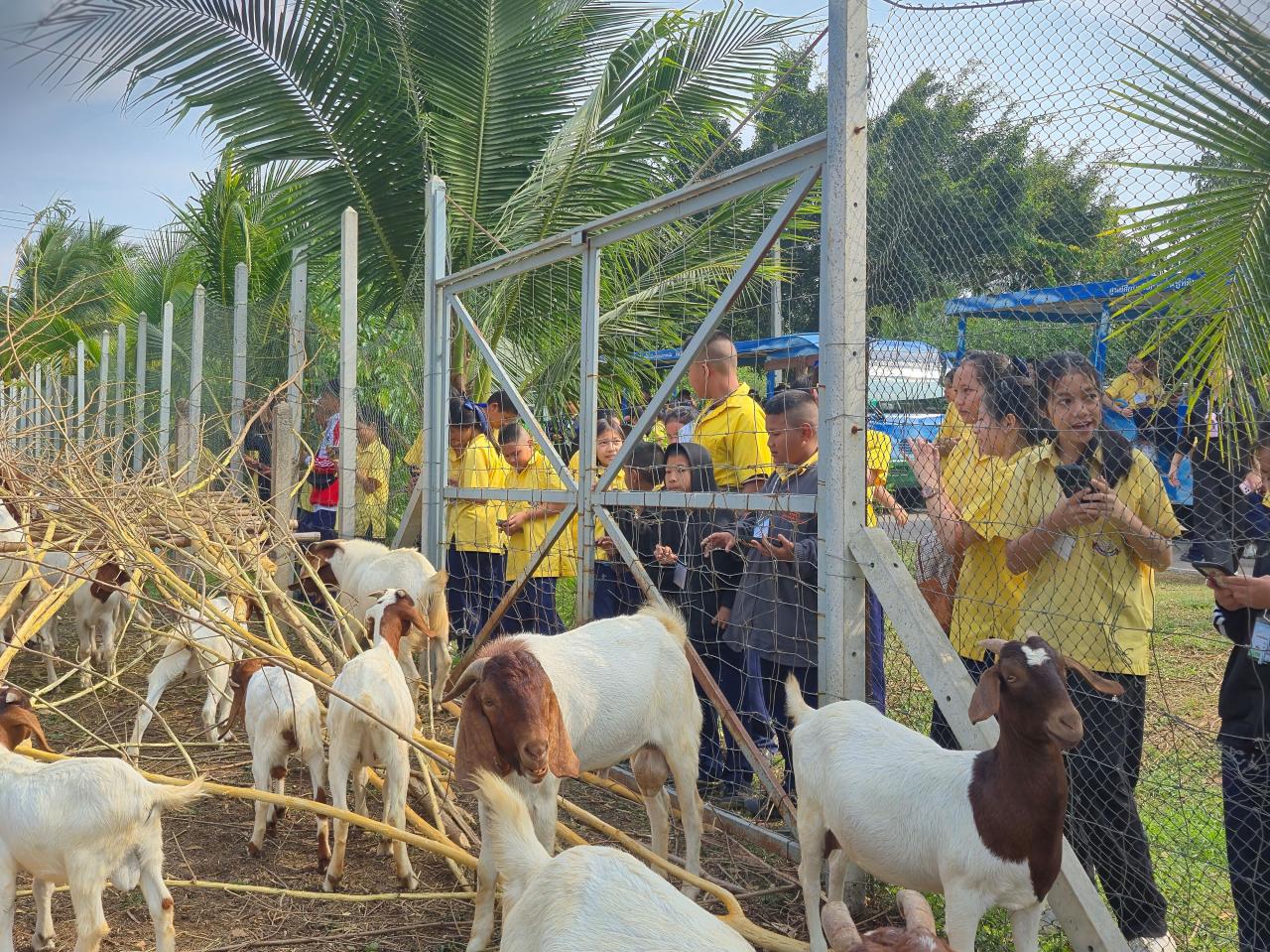 ภาพประกอบที่ 1