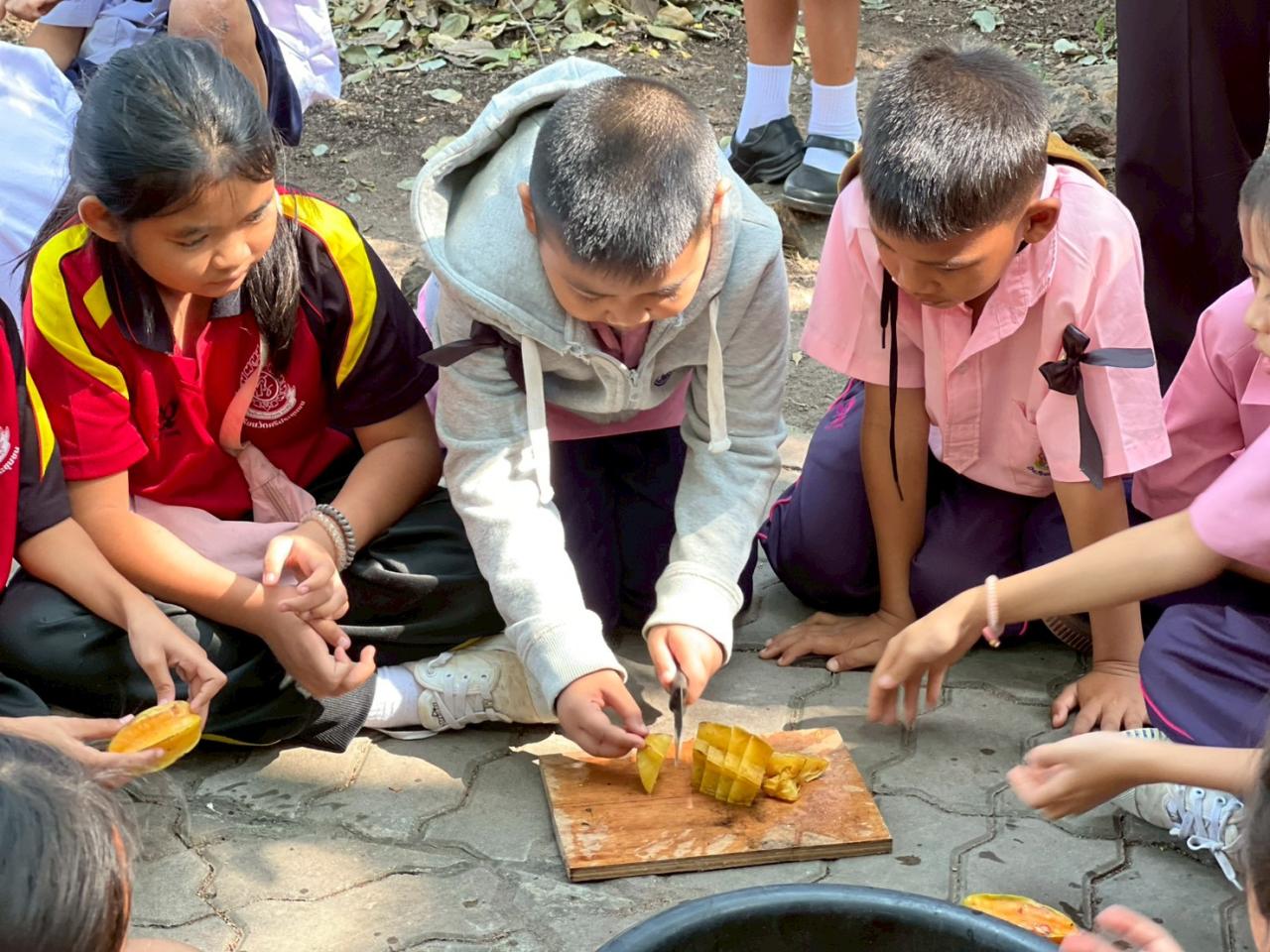 ภาพประกอบที่ 5