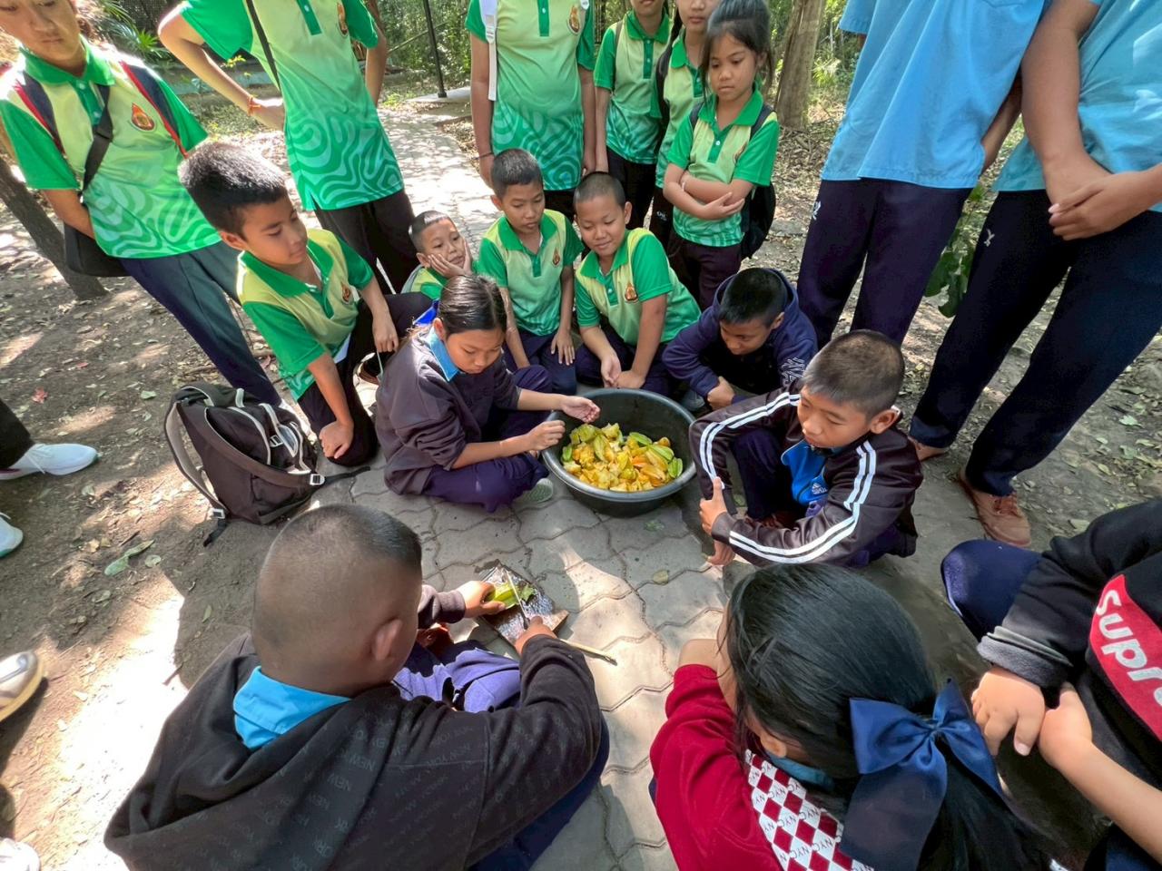 ภาพประกอบที่ 8