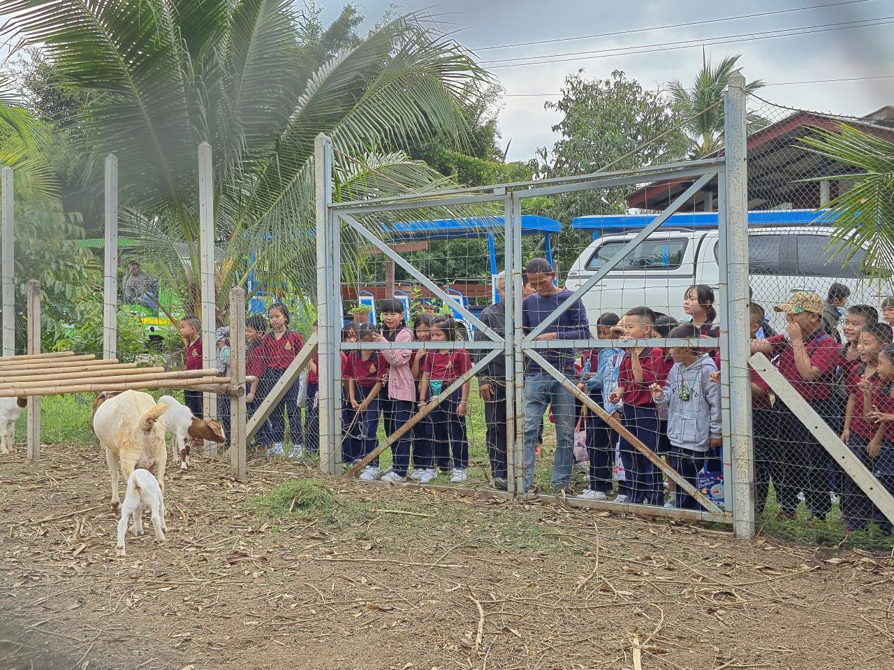 ภาพประกอบที่ 9